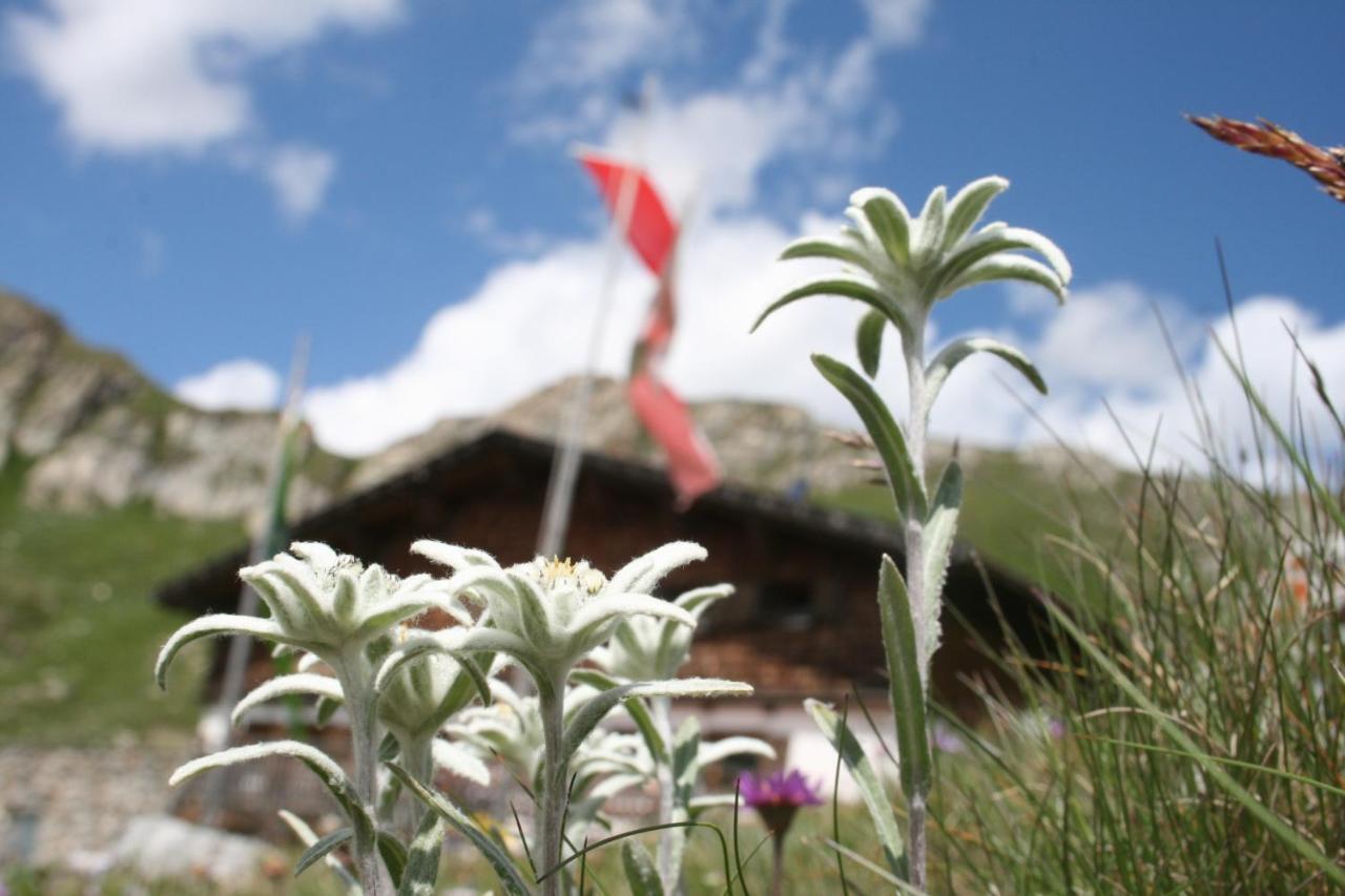 Unterlutaschg-Chalet Appartement Am Hof Slingia Δωμάτιο φωτογραφία